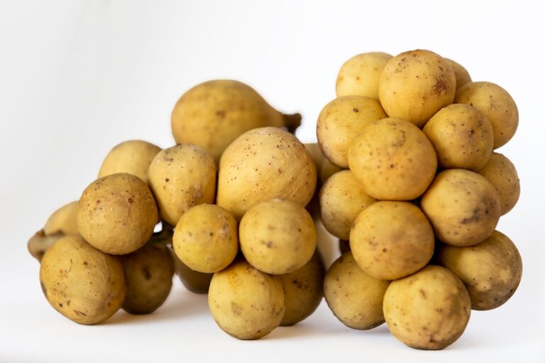 Photo Raw potatoes
