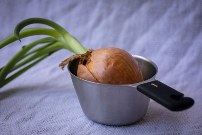 Photo Onion on bedside table