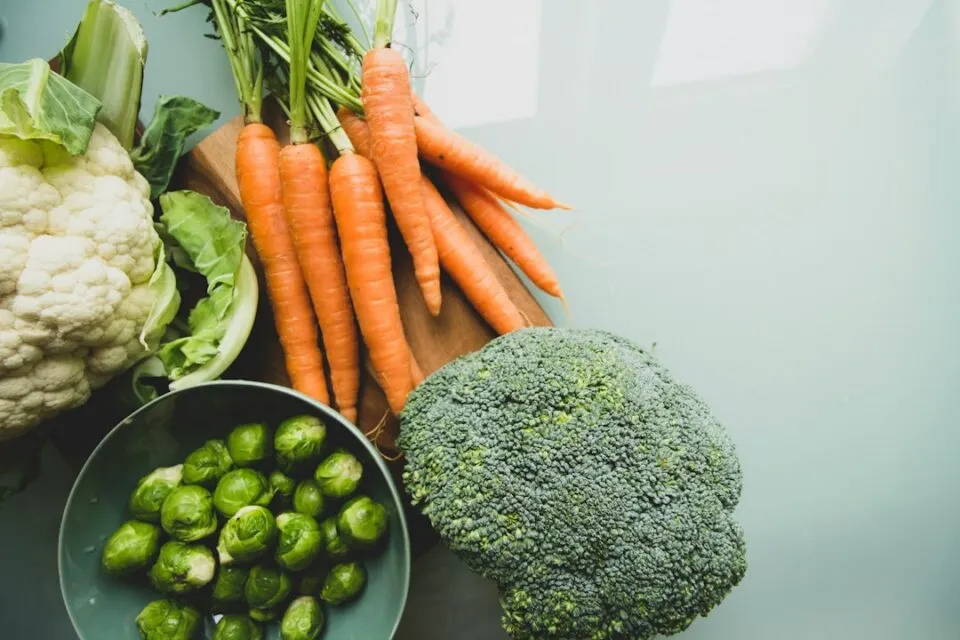 Photo nutrition cognitive performance